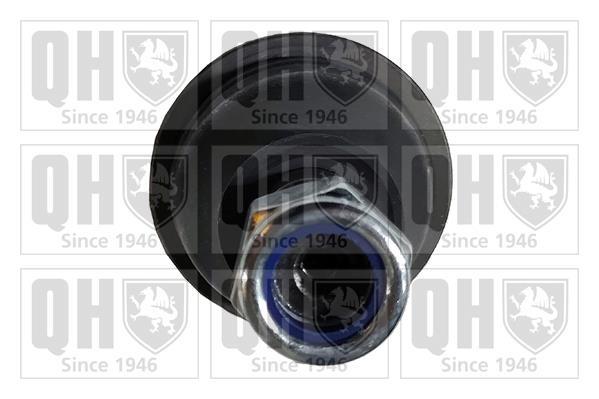 Rotule de suspension (Rotule de pivot) QUINTON HAZELL ref. QSJ3491S